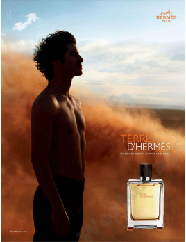 Hermes - Terre D'Hermés (M)