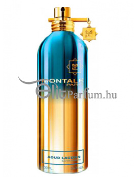 Montale Paris Aoud Lagoon Uniszex Parfüm (eau de parfum) Edp 100ml