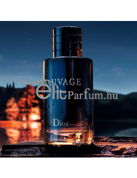 Christian Dior Sauvage Parfum (2019) férfi parfüm 100ml