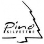 Pino Silvestre