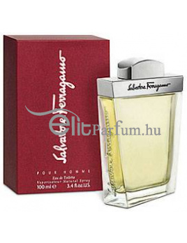 Salvatore Ferragamo pour Homme férfi parfüm (eau de toilette) edt 100ml