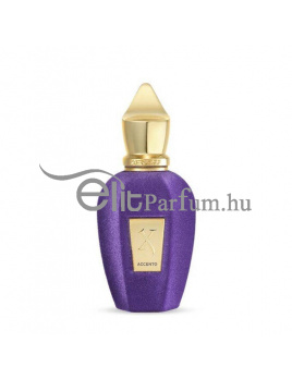 Xerjoff Accento unisex parfüm (eau de parfum) Edp 100mlteszter