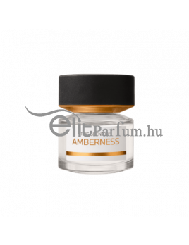 BMW Amberness unisex parfüm Edp 100ml