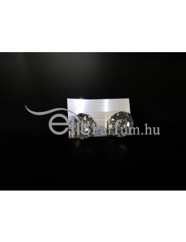 Elitparfüm Női Fülbevaló 007