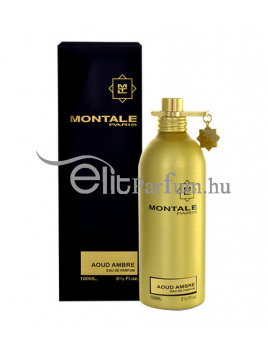 Montale Paris Aoud Ambre unisex parfüm (eau de parfum) Edp 100ml