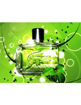 Lacoste - Essential (M)